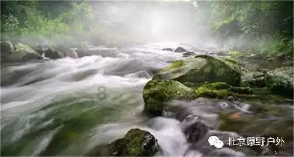 郭富城36岁娇妻首次上综艺！普通话标准声音甜美，日后或直接出道