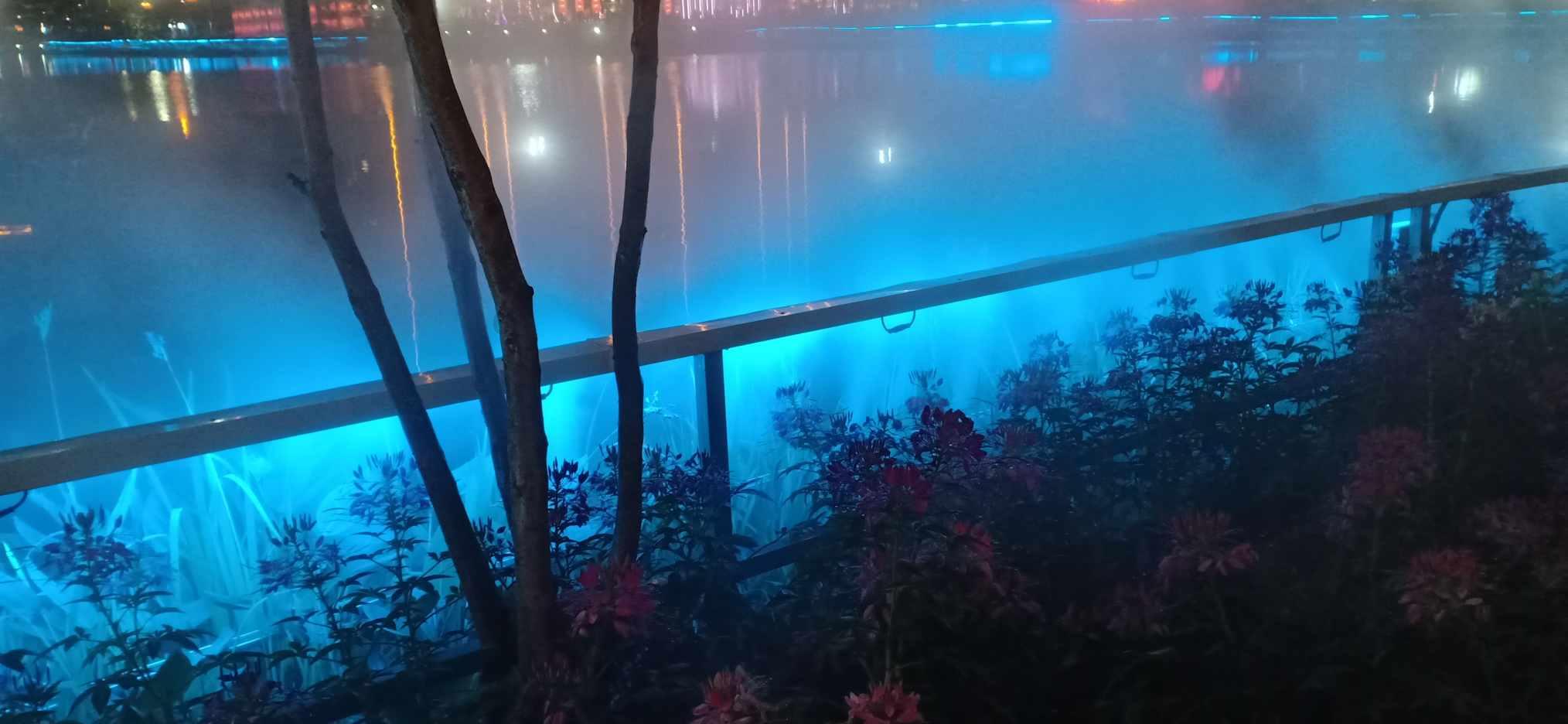 失事的飞机逃脱